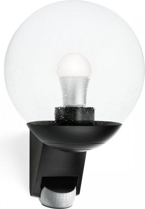Actual product image Steinel Exterior wall light with movement (E27, IP44)