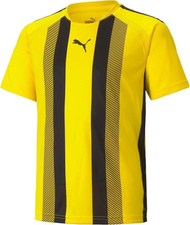 Produktbild Puma teamLIGA Striped Jersey Jr-704927 (140)