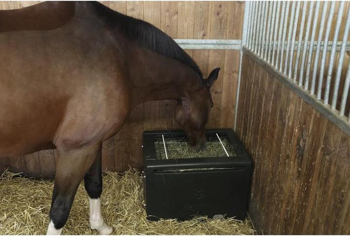 Produktbild Kerbl Futterraufe HayBox