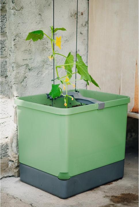 Image du produit Gusta Garden CURT CUCUMBER Gurkentopf Grau (28.70 cm, 33.50 cm)