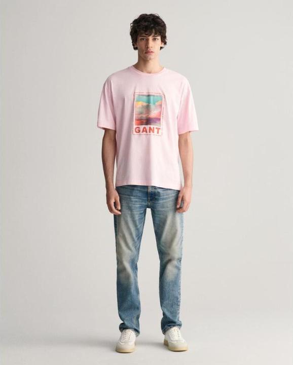 Actual product image GANT t-shirt washed graphic (M)