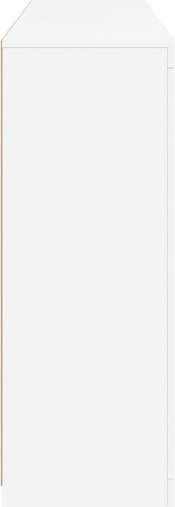 Produktbild vidaXL Sideboard (142.50 x 37 x 100 cm)