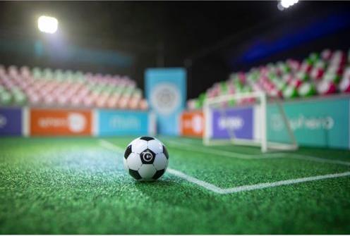 Actual product image Sphero mini soccer