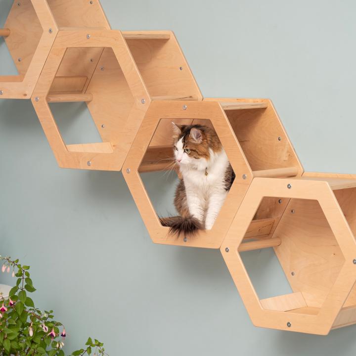 Actual product image Wowhelperco 4 honeycombs (Nature)