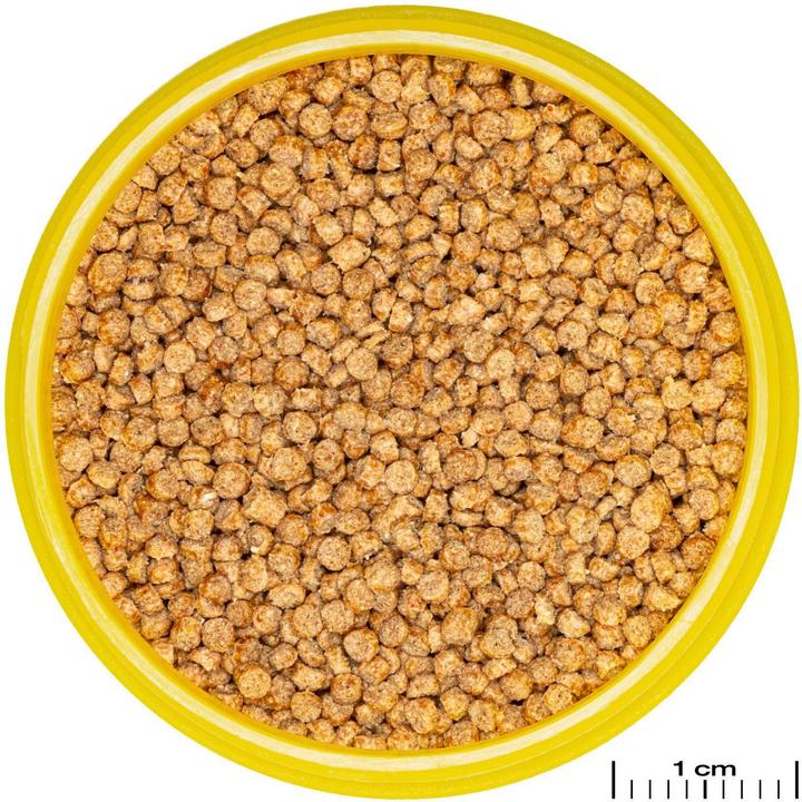 Actual product image JBL Aquaristik und Terraristik ProNovo CICHLID GRANO S 250ml CLICK (Perch, 250 ml)