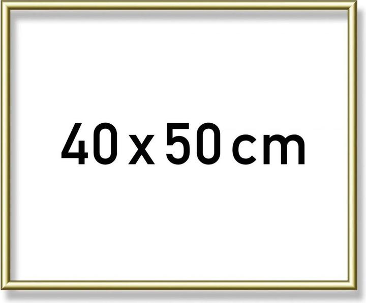 Produktbild Schipper MNZ Alurahmen (40 x 50 cm)