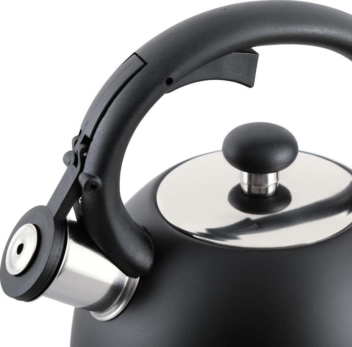 Actual product image Nenurodyta / N TMC11G PROMIS kettle 2.0 l, MATEO, gray (2 l)