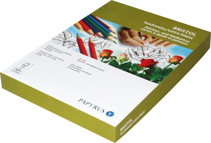 Image du produit Papyrus Carton bristol (300 g/m², 10 x)