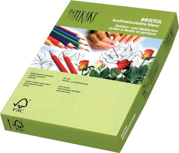 Actual product image Papyrus Bristol board (180 g/m², 1 x, 50 x 70 cm)