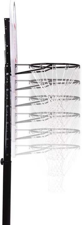 Actual product image Lifetime Omaha SE