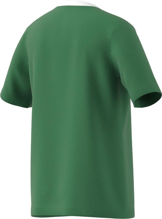 Produktbild adidas Entrada 22 Trikot (116)