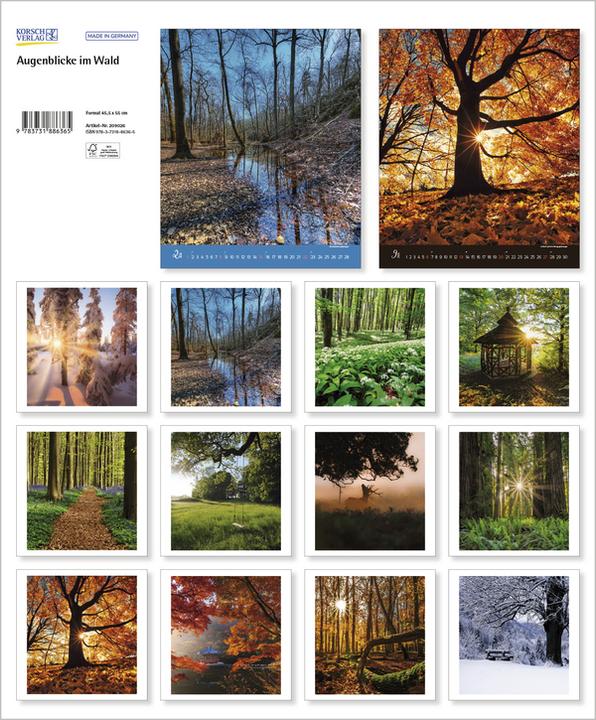 Produktbild AugenblickeimWald2026 (Spezial)