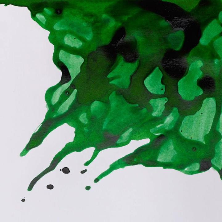 Actual product image Winsor & Newton Drawing Ink 14ml Brilliant Green 046 (1 Piece, Green)
