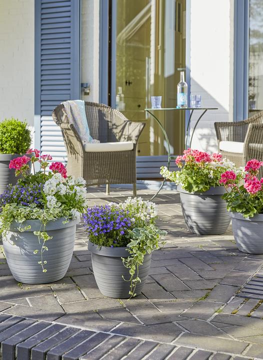 Immagine prodotto Scheurich Stella del paese (24 cm)