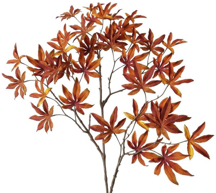 Boltze Home Ahorn (4 cm)