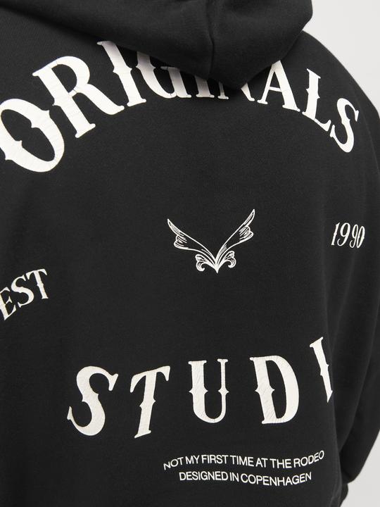 Produktbild Jack & Jones Joraustin Font Sweat Hood Styd Aw24 (M)