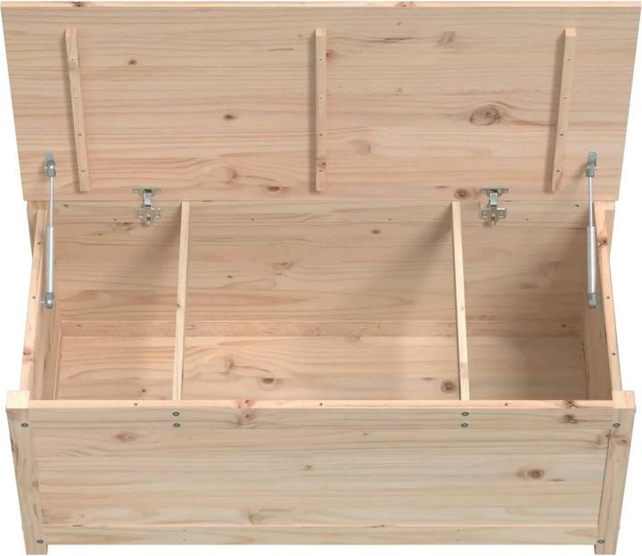 Image du produit vidaXL Truhe