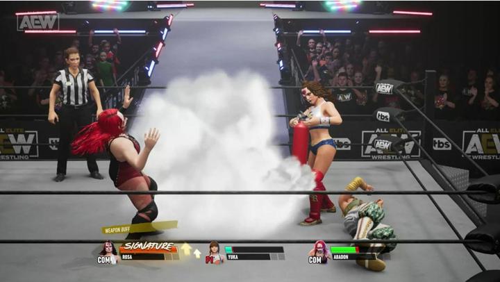 Produktbild THQ AEW: Fight Forever (PS5, EN)