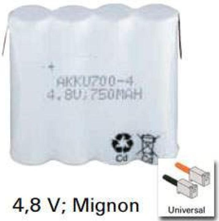 Actual product image AccuCell Battery Philips TD4902, TD9260, TD9262