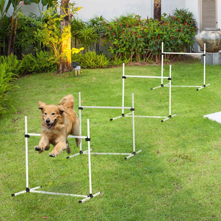 Image du produit PawHut Kit de haies Agility (Taille unique, Agility)