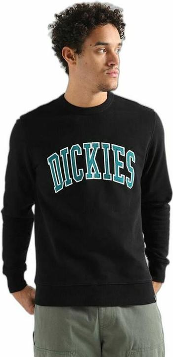 Produktbild Dickies Sweater mit Kapuze Aitkin Schwarz (S)