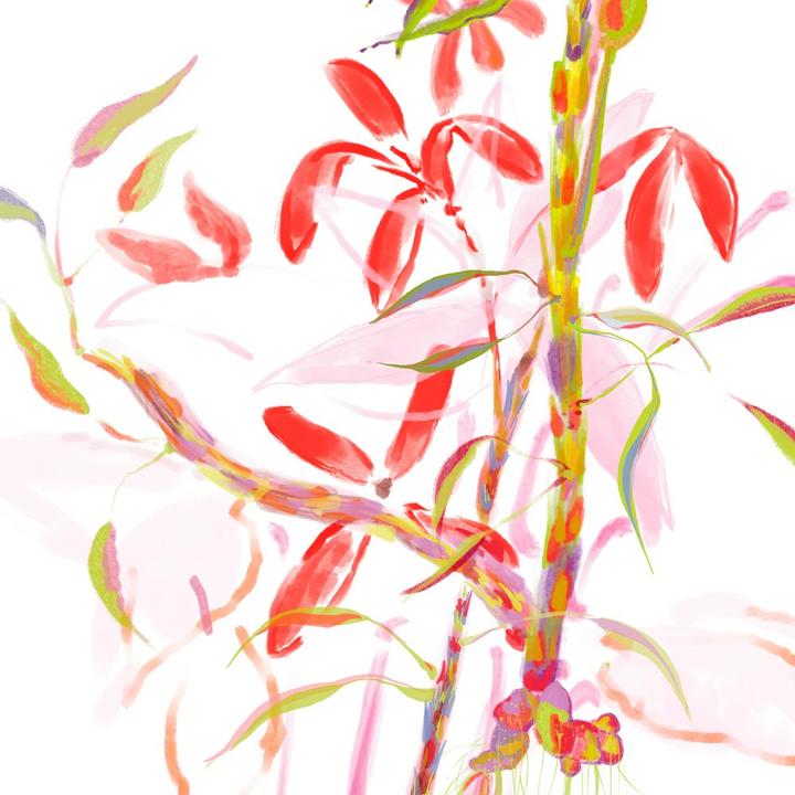 Produktbild Sisley d'Aria Eau de Toilette (Eau de Toilette, 100 ml)