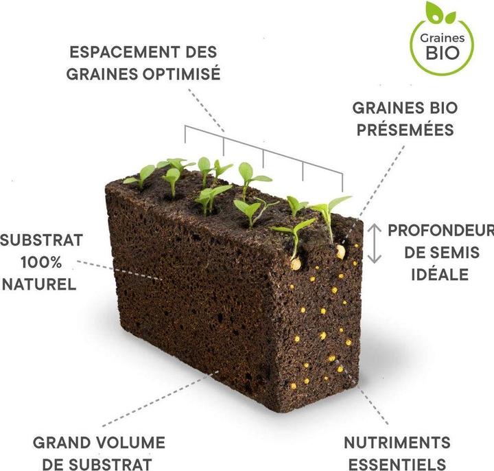 Produktbild Véritable Bio-Basilikum (Kräutersamen)