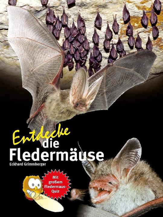 Actual product image Discover the bats (German, Eckhard Grimmberger, 2022)