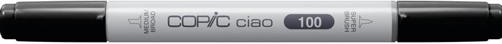 Actual product image Copic Ciao Type - 100 (1x)