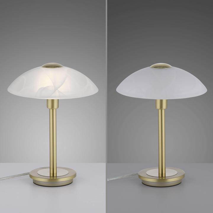 Image du produit Paul Neuhaus Enova (265 lm, G9)