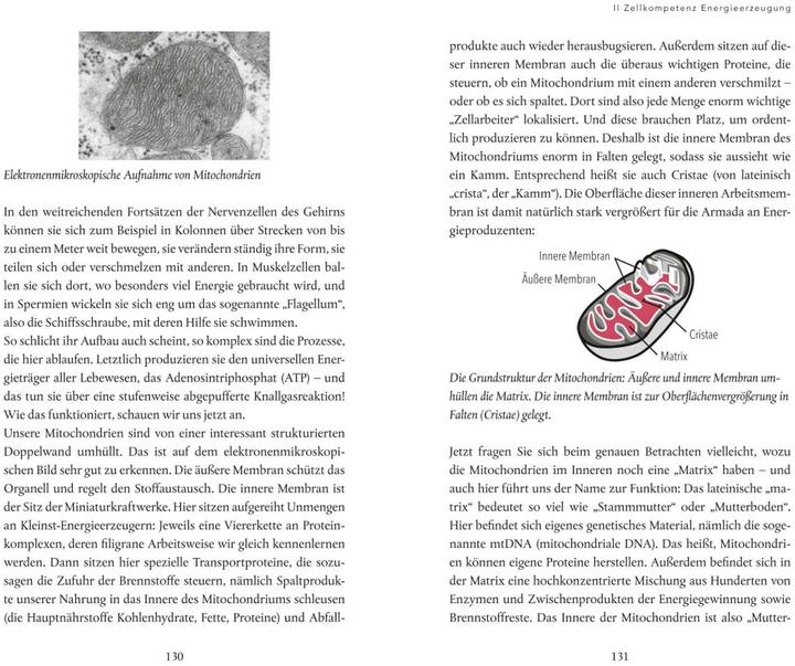 Produktbild Altern wird heilbar (Deutsch, Nina Ruge, 2020)