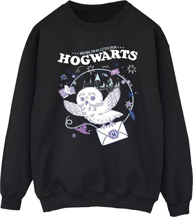 Produktbild Owl Letter From Hogwarts Sweatshirt (5XL)
