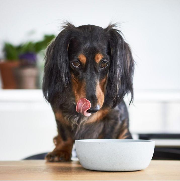 Immagine prodotto District 70 Ciotola per cani in bambù (1.60 l)