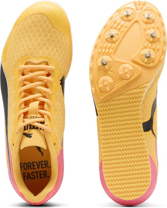 Image du produit Puma evoSPEED Star 9 Junior (34.5)