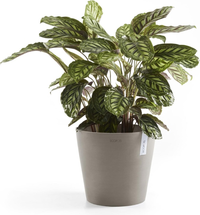 Immagine prodotto Ecopots Amsterdam (30 cm)