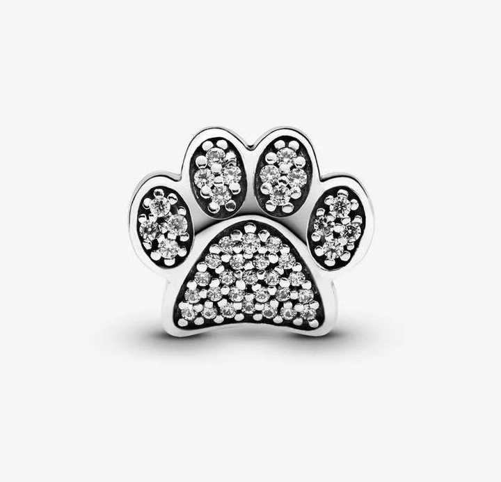 Actual product image Pandora little paw (Silver)