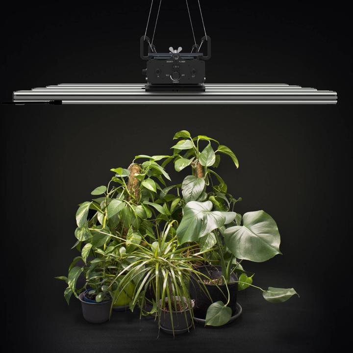 Actual product image Greenception X-Series 16 (LED, 230 V)