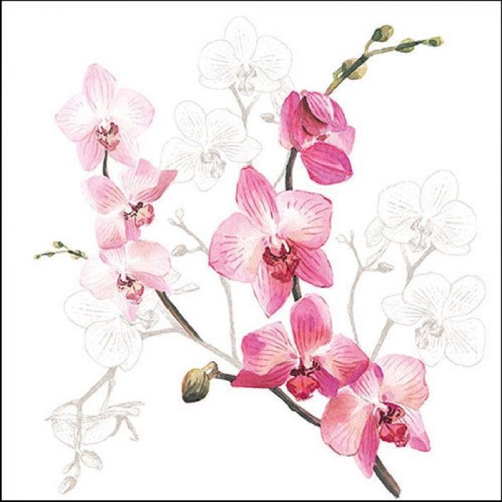 Ambiente, Servietten, Serviette "Orchid" 33 x 33 cm 20er Packung (20 x, 33 x 33 cm)