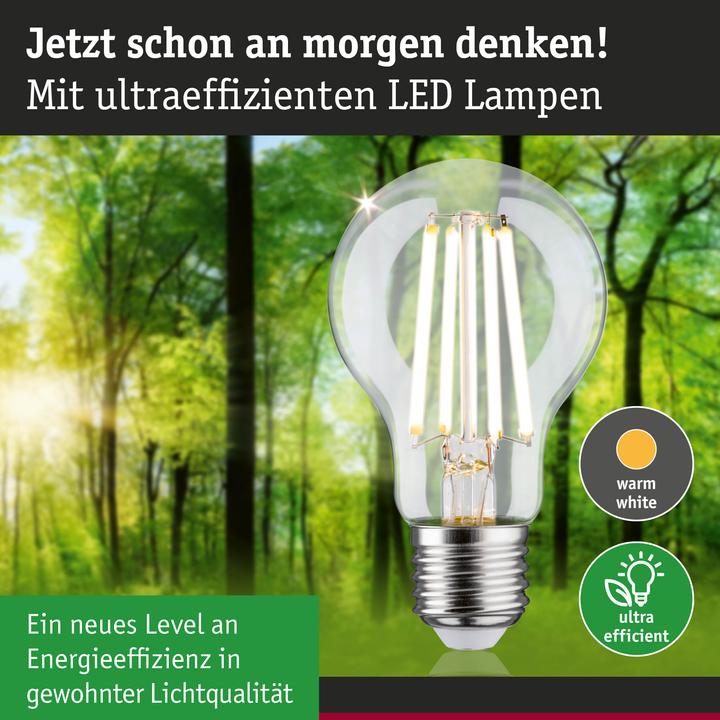 Produktbild Paulmann AGL Eco-Line (E27, 4.50 W, 840 lm, 1 x, B)