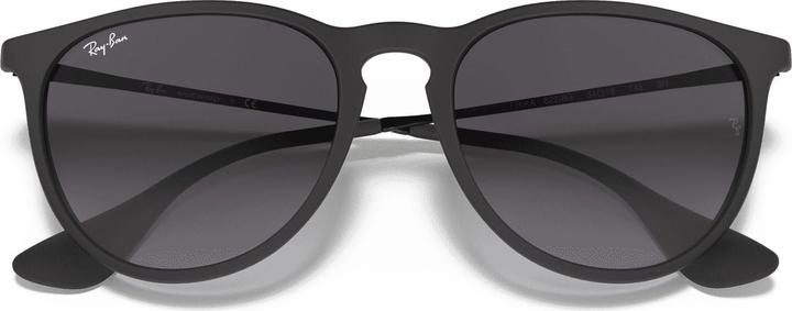 Image du produit Ray Ban Erika