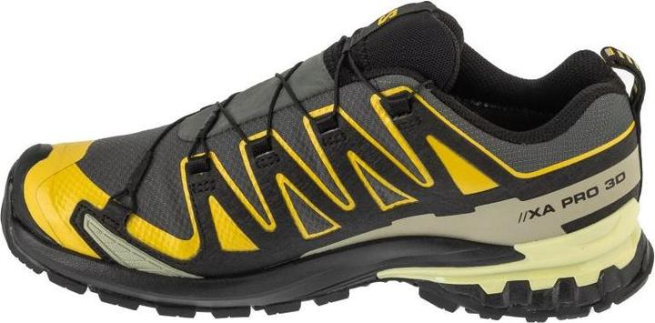 Productafbeelding Salomon XA Pro 3D v9 GTX Grau (44)