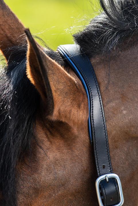 Immagine prodotto HFI Master Two-Tone