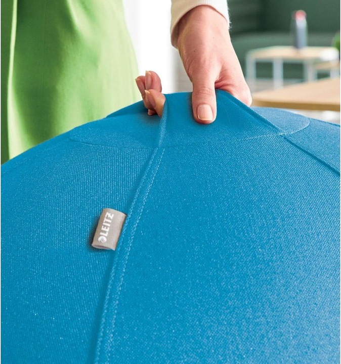 Actual product image Leitz Ergo Cosy Active sitting ball (65 cm)