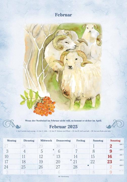 Actual product image Alpha Edition 100 Years Calendar 2025 Wall Calendar, 23,7x34cm, Picture Calendar with (Hardcover, German)