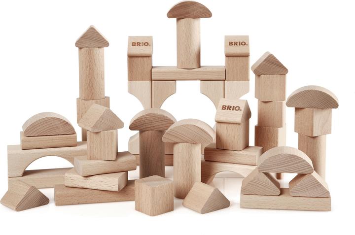 Brio 50 natural wood bricks