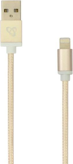 Image du produit Sbox USB 2.0 8 broches IPH7-G or (1.50 m, USB 2.0)