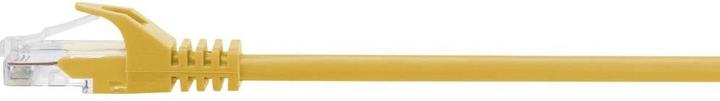 Actual product image Renkforce RF-5224648 RJ45 network cable, patch cable CAT 5e U/UTP 0.15 m yellow with (U/UTP, CAT5e, 0.15 m)