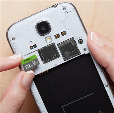 Actual product image PNY microSDXC card Elite UHS-I U1 256 GB (256 GB, microSDXC, U1, UHS-I)