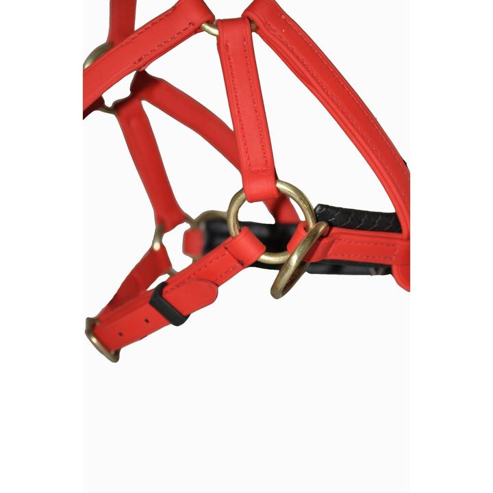 Actual product image TdeT Sidepull Biotack®