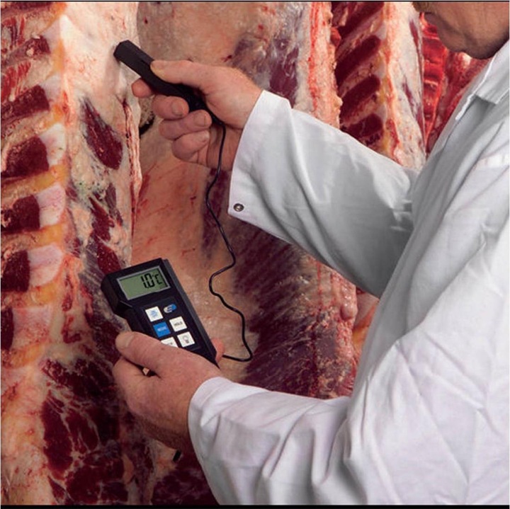 Productafbeelding TFA Insteekthermometer P300 Messb